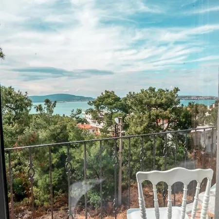 Camlik Deniz Yildizi