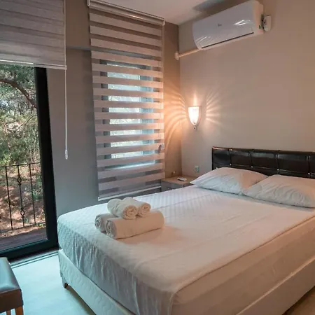 Camlik Deniz Yildizi Ayvalı