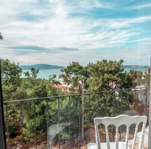 Camlik Deniz Yildizi